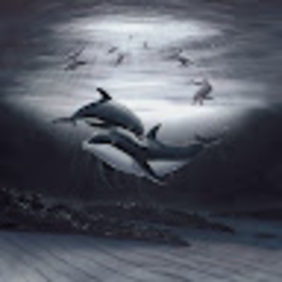 Meet your Posher, Anna-marie - Picture 1 of 1